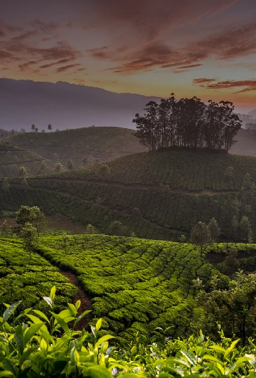 South India