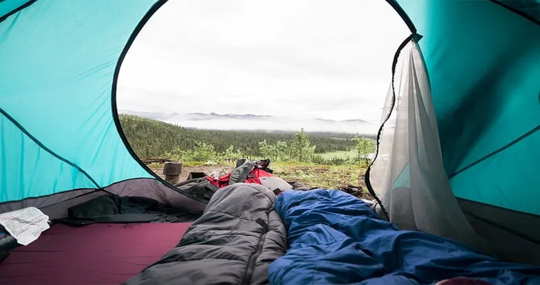 View from Inside of Camp, Wayanad Image