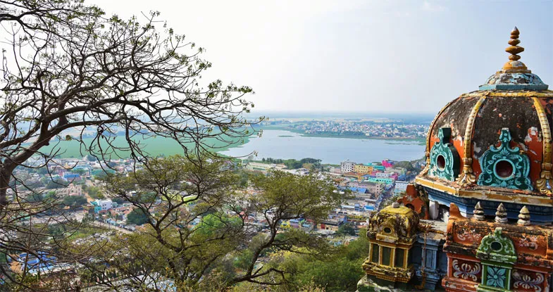 Palani Temple, Tamil Nadu Image