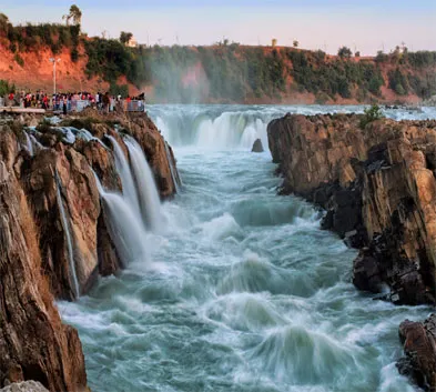 Wildlife Safari in North and Central India