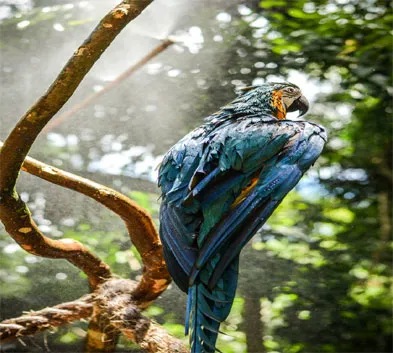Golden Triangle with Bharatpur- Bird Sanctuary