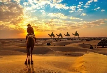 Golden Triangle & Royal Rajasthan Signature Tour